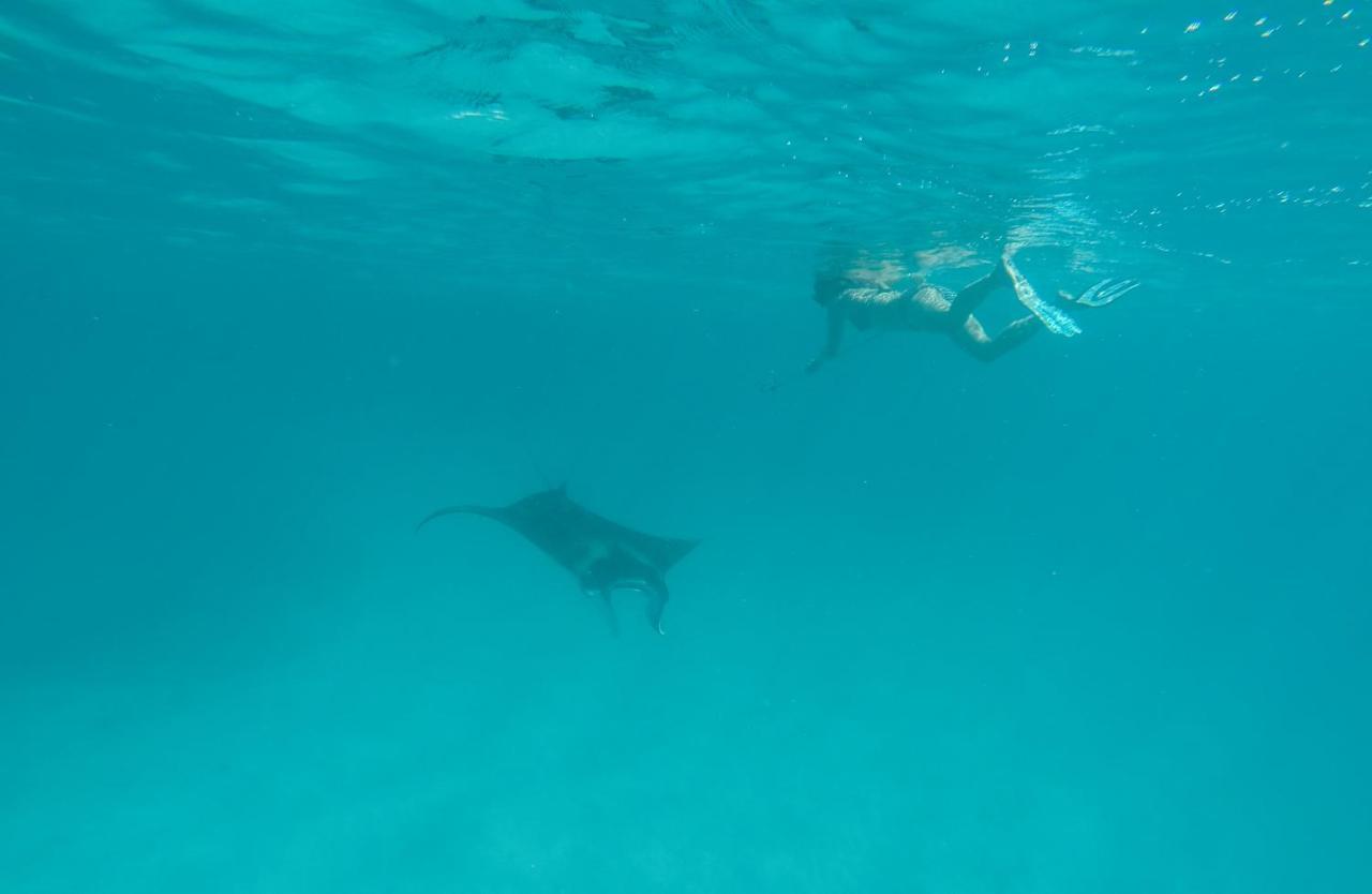 เซวิเน็ก อินน์ Feridhoo ภายนอก รูปภาพ