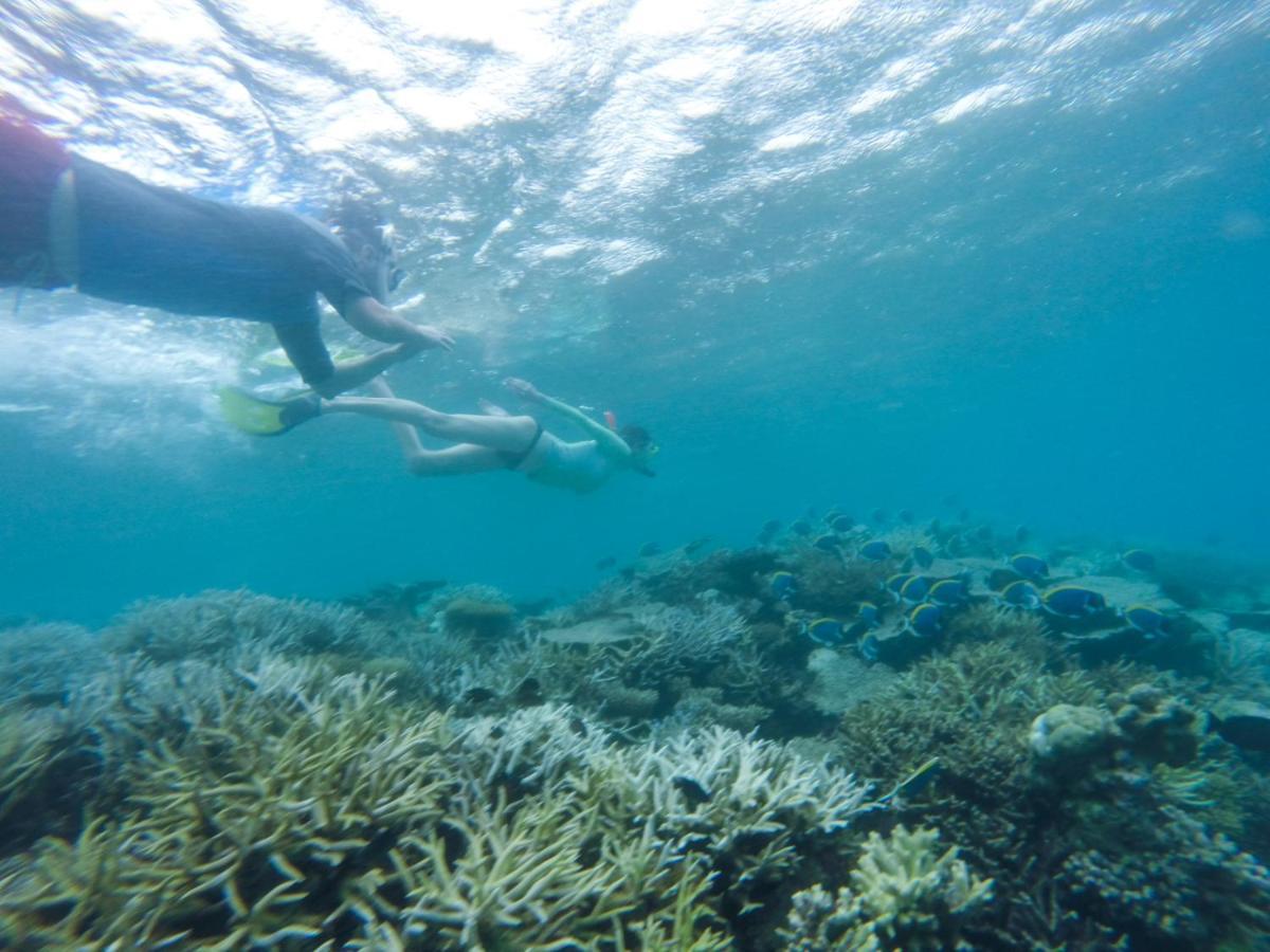 เซวิเน็ก อินน์ Feridhoo ภายนอก รูปภาพ