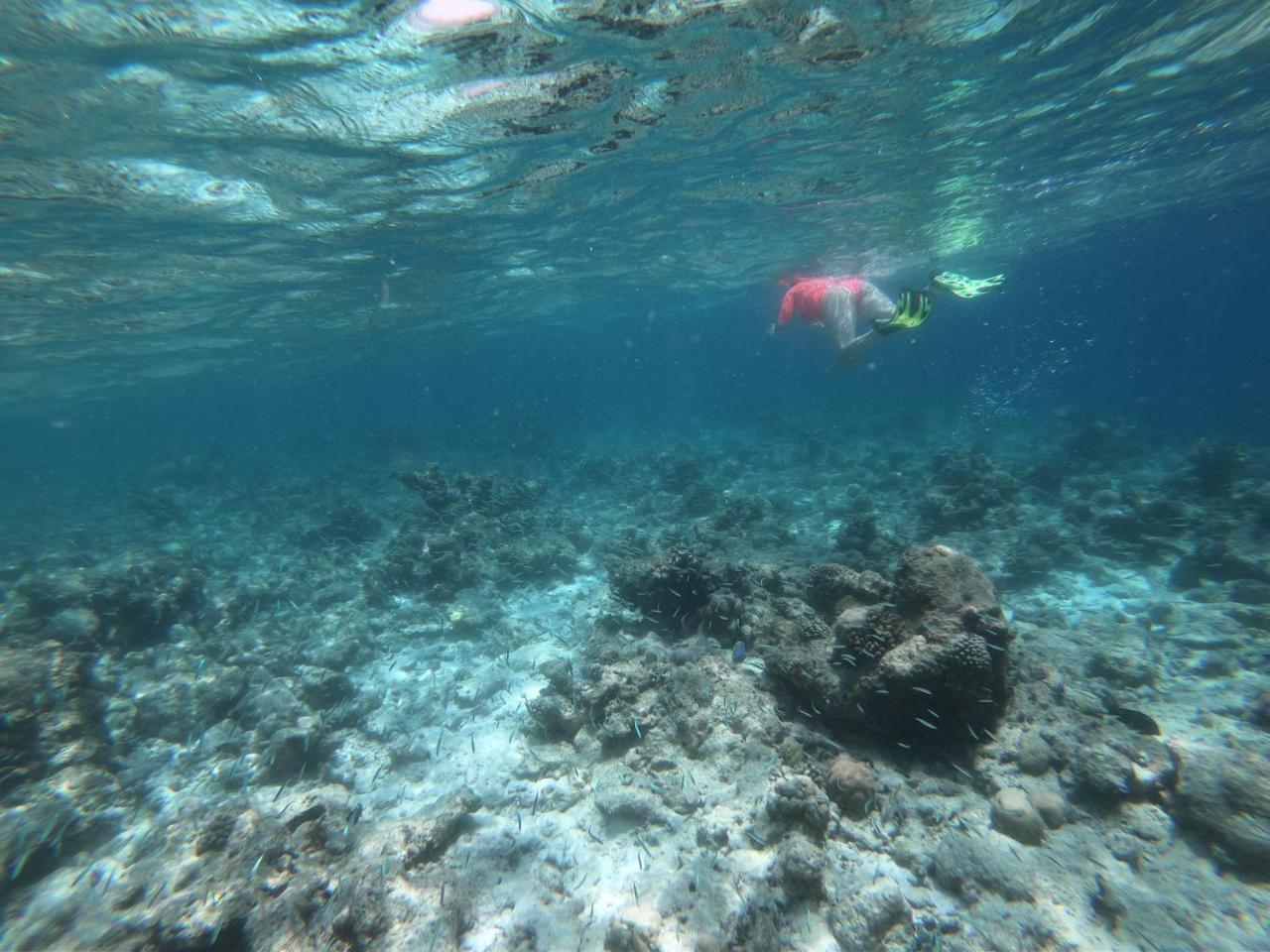 เซวิเน็ก อินน์ Feridhoo ภายนอก รูปภาพ